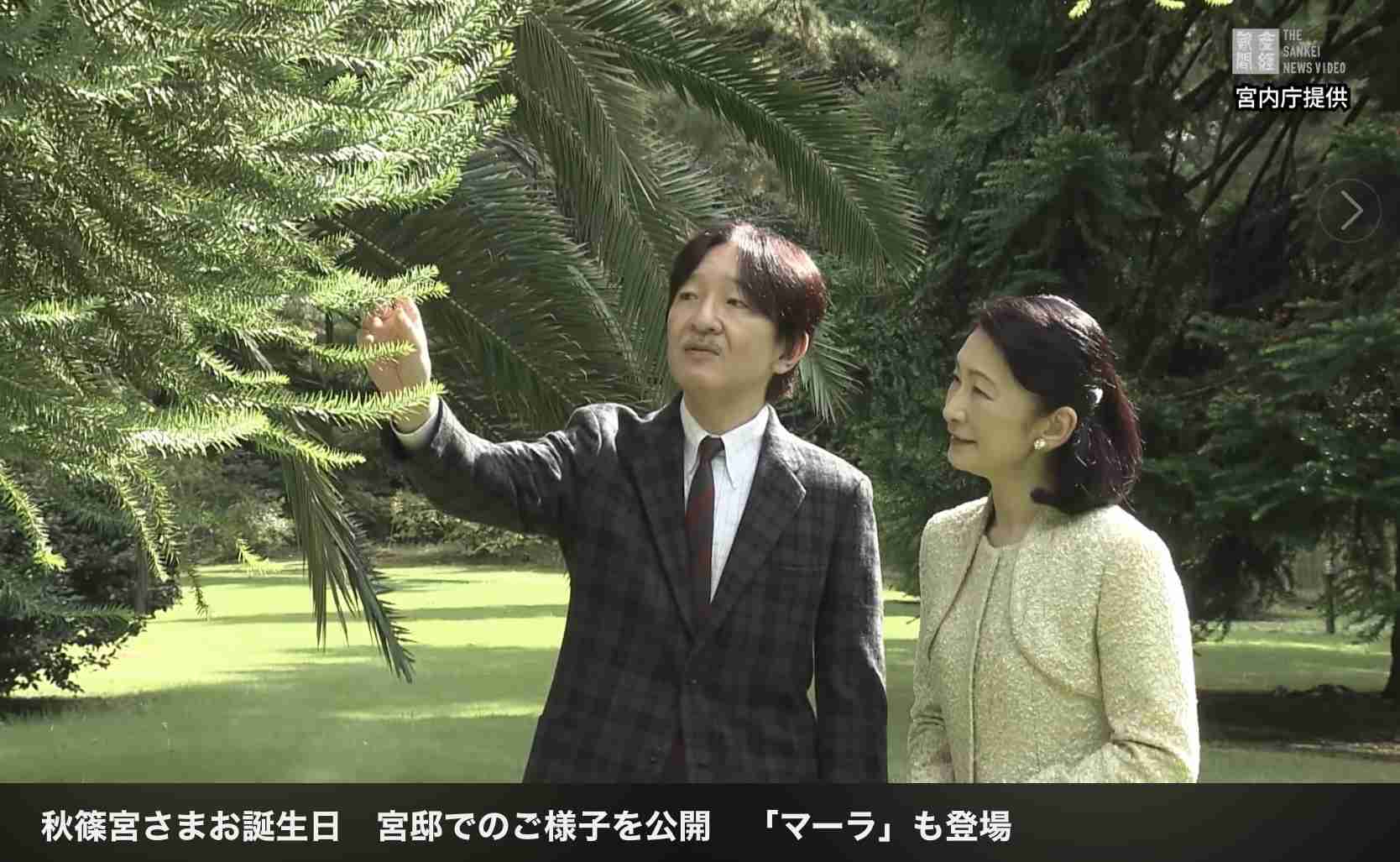 https://up.gc-img.net/post_img/2025/11/Ouw9Vx4kK3gAo1t_l1E15_34028.jpeg