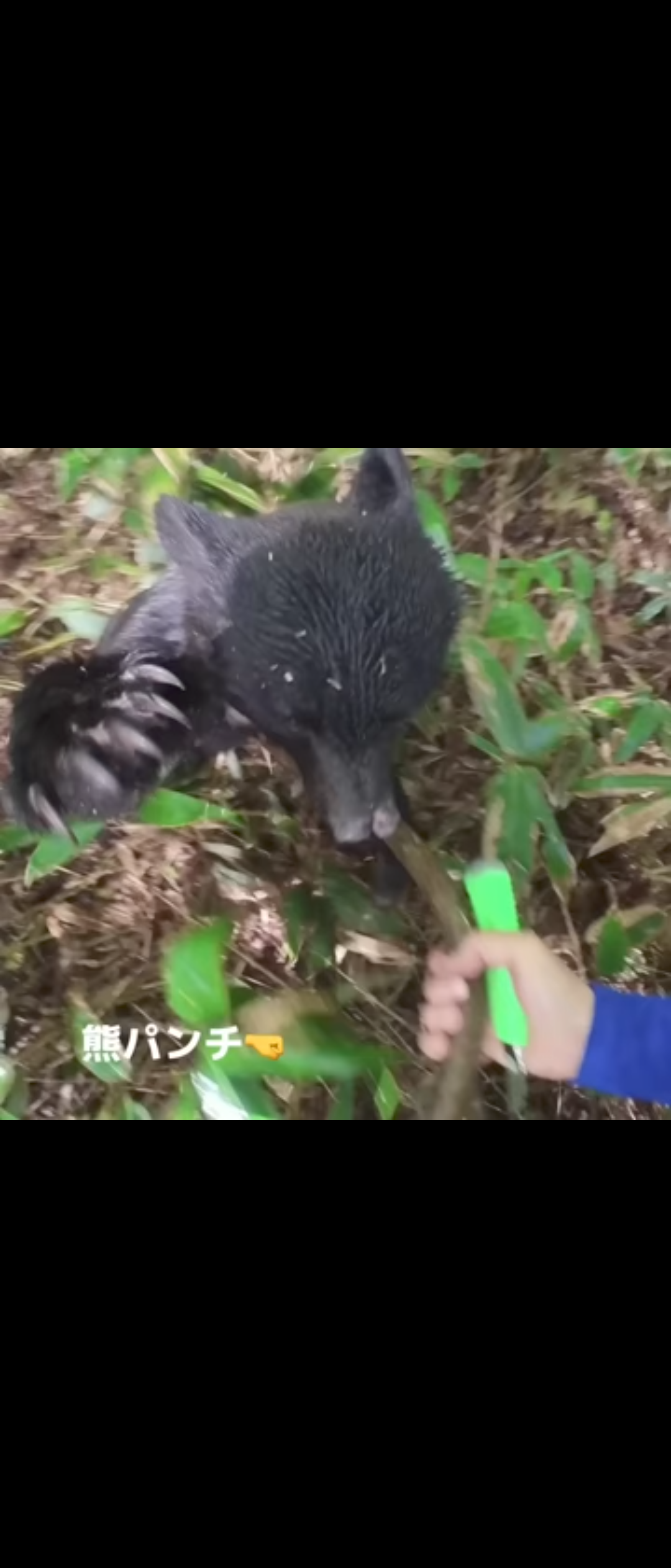 〈青森・クマがラーメン店襲撃〉「笑えないです」ボコボコにしてクマを返り討ち“レジェンド”と賞賛された男性はまぶたが腫れあがり骨折「補助金なし」で休業せざるえないオーナーの慟哭