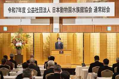 TPOは大事ですよね