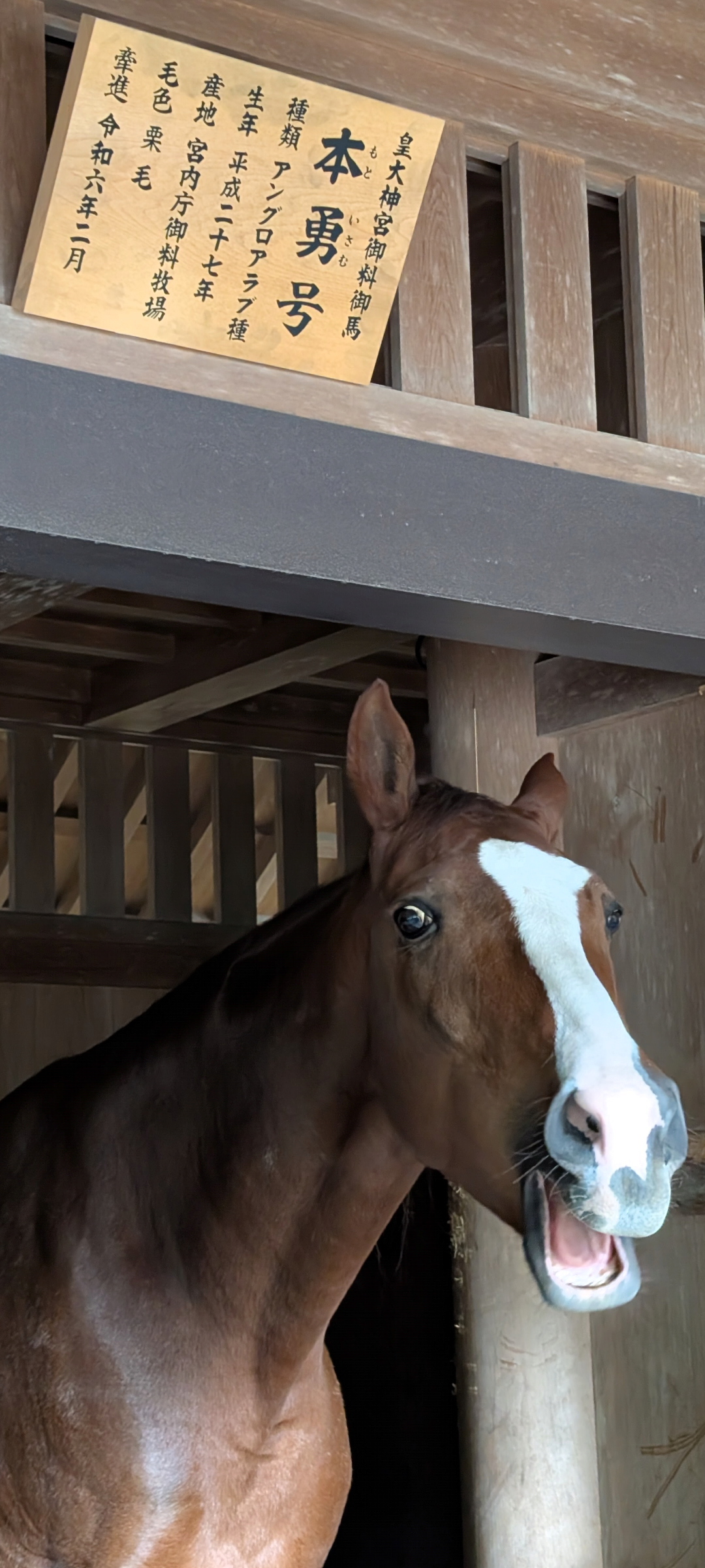 TPOは大事ですよね