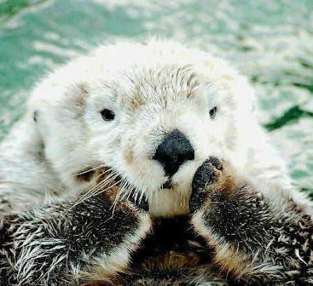 この世に優しくて思いやりのある旦那さんっているの？