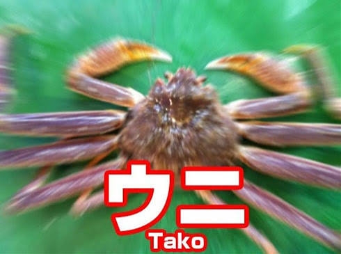 明らかに間違ってる画像を貼っていくトピ