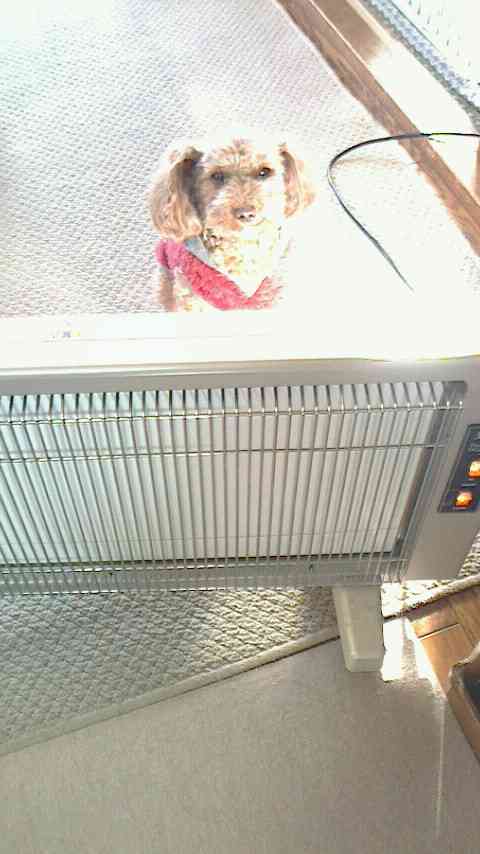 明らかに間違ってる画像を貼っていくトピ