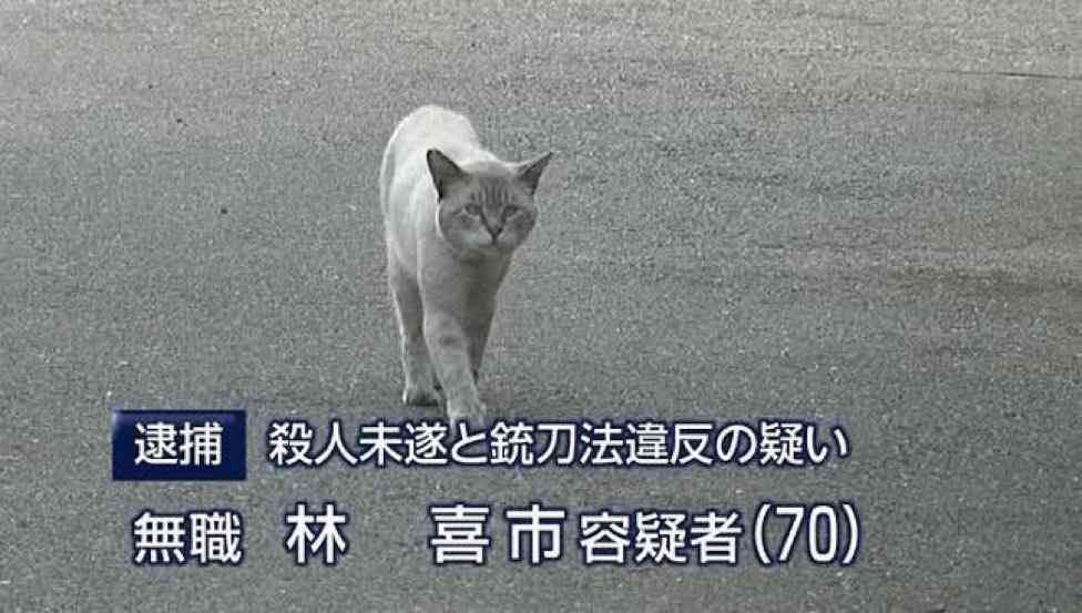 明らかに間違ってる画像を貼っていくトピ