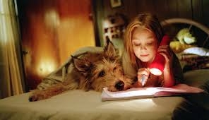 犬を飼ってる人なら共感してくれるかもなこと