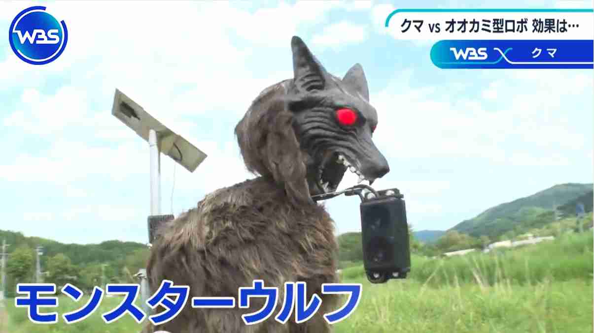 北海道で車を運転中、ヒグマに襲われる動画が想像以上に衝撃映像だった…真正面から突撃してくる迫力に「こんなにデカいのか」「死んだフリとか無理」