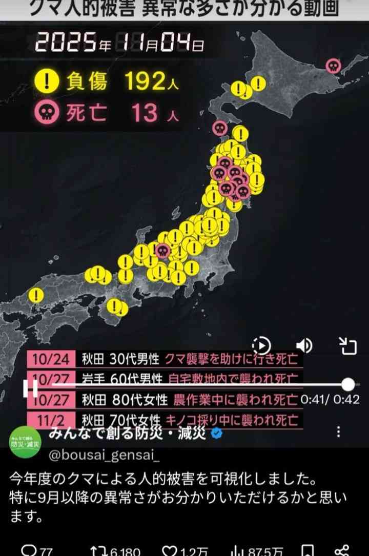 北海道で車を運転中、ヒグマに襲われる動画が想像以上に衝撃映像だった…真正面から突撃してくる迫力に「こんなにデカいのか」「死んだフリとか無理」