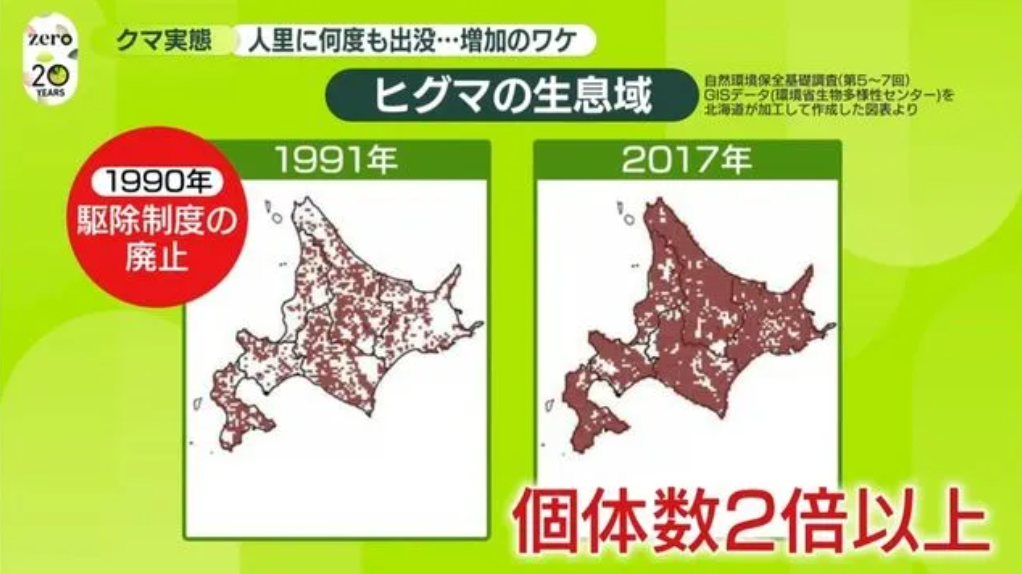 北海道で車を運転中、ヒグマに襲われる動画が想像以上に衝撃映像だった…真正面から突撃してくる迫力に「こんなにデカいのか」「死んだフリとか無理」