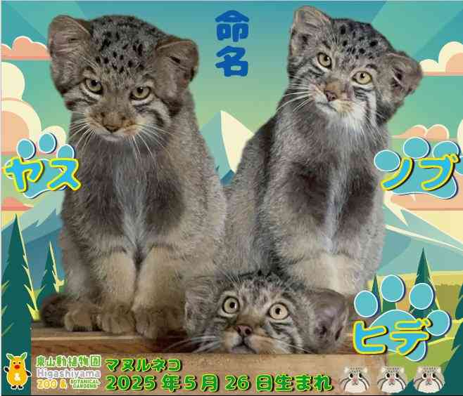 鳩山由紀夫元首相、高市首相発言「国益の損失は計り知れない」「急ぎ改めることだ」