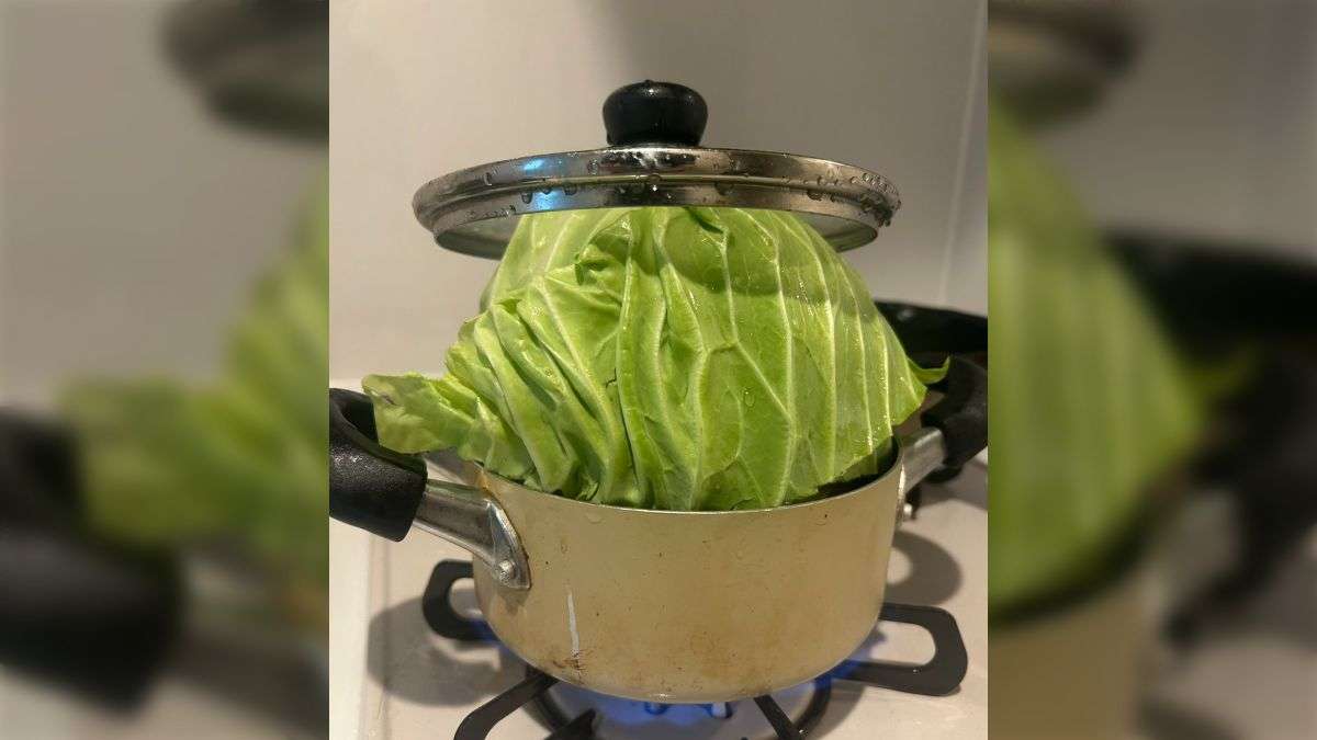 料理研究家リュウジ、ヒカル取締役就任の「ナポリの窯」忖度なしでレビュー 「影響力だけでゴリ押しする商法」の限界も指摘