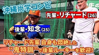 【巨人】読売ジャイアンツファン集合【アンチ厳禁】part4