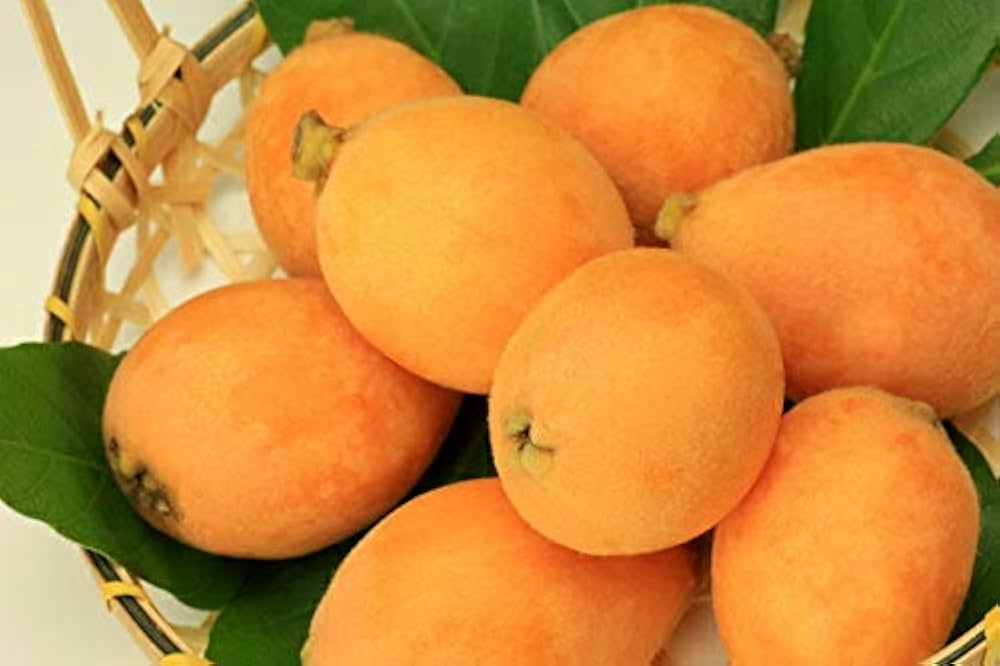 一生食べ続けられる物ありますか?