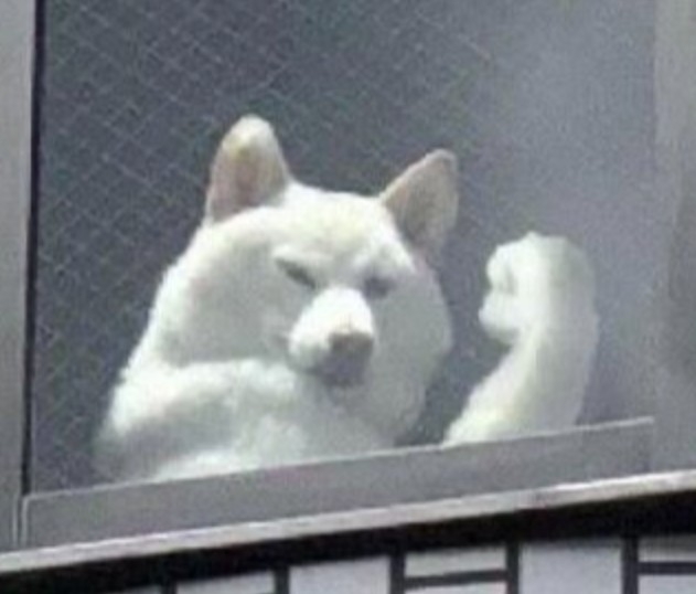日本版DOGE(政府効率化局)、来週にも立ち上げ　片山財務相と遠藤補佐官が確認