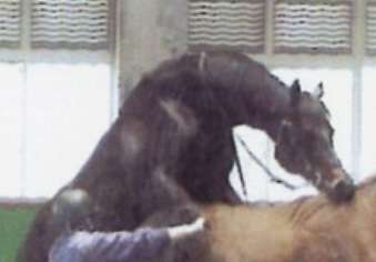 【実況・感想】日曜劇場「ザ・ロイヤルファミリー」第7話