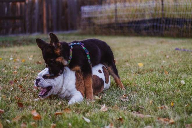マウント癖を直したい