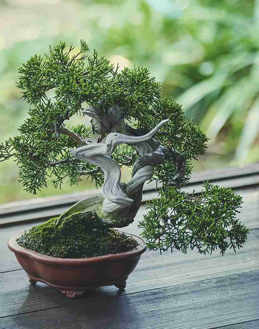 文才を身につけたい