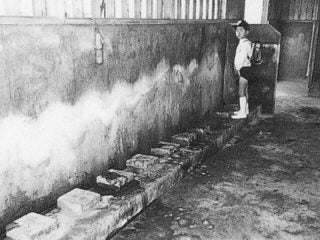 女性用トイレは男性用の3倍必要で居住空間は1人当たり3.5平米 “命と尊厳”守る避難所の国際基準『スフィア基準』とは?