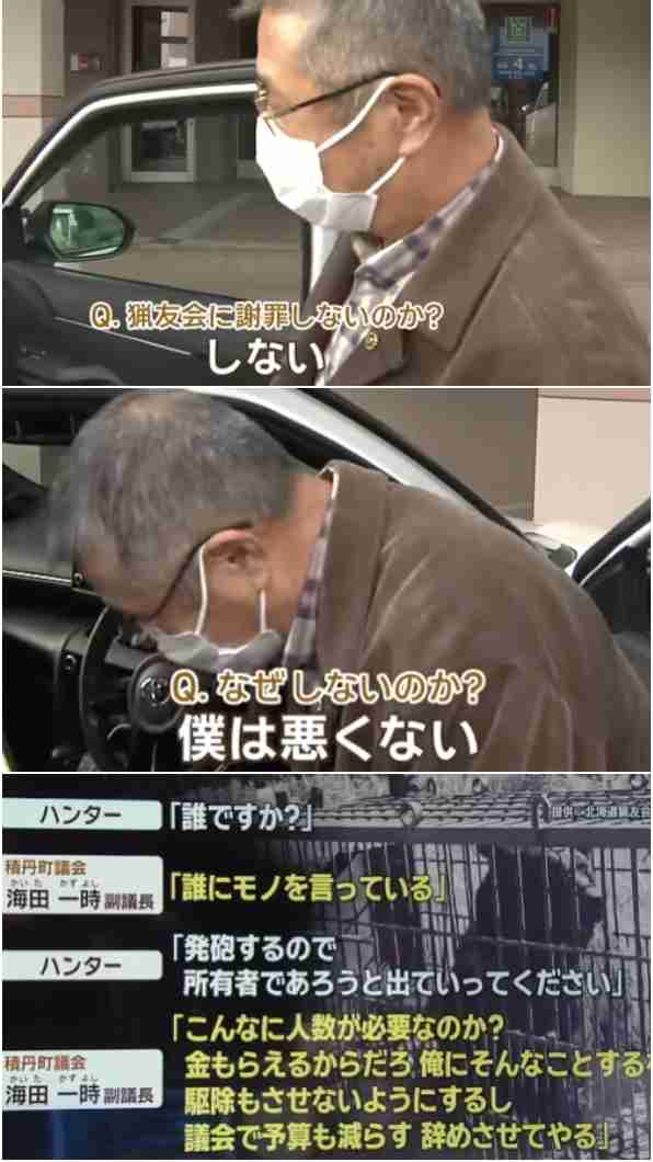 「クマが世田谷区に出没する可能性も」 すでに青梅や八王子で目撃情報が… 「移動距離は1日10キロ」