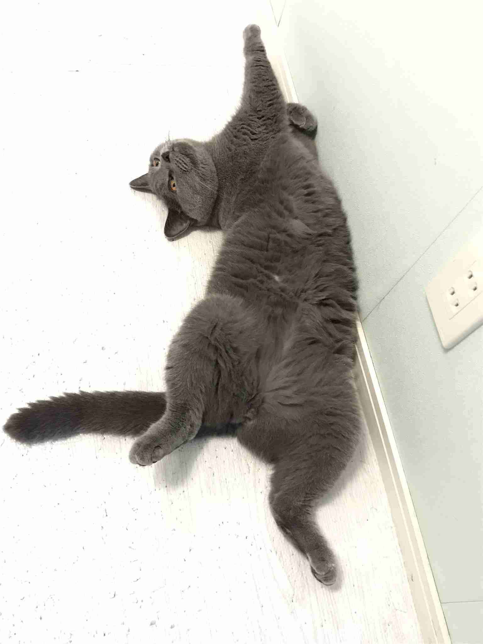 体の歪みを治したい！