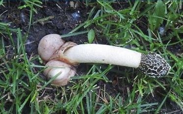 思ったより大きいと思ったモノ