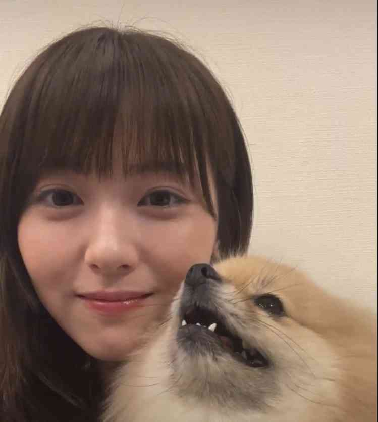 【ネタ】もし自分が浜辺美波になれたら　