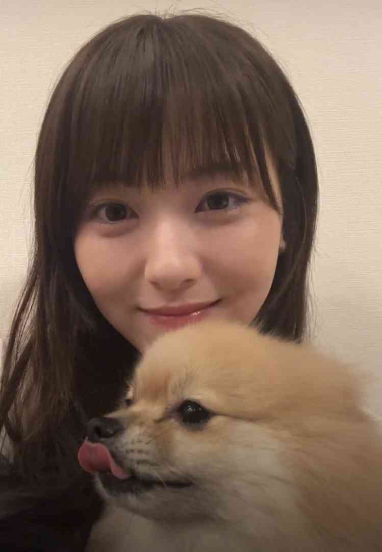 【ネタ】もし自分が浜辺美波になれたら　