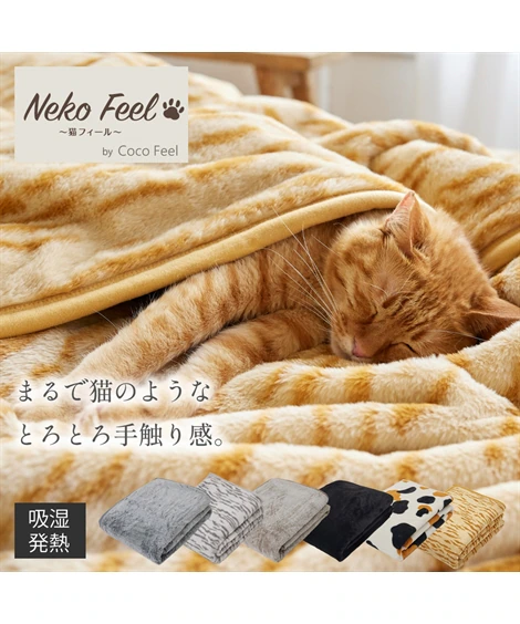 毛布を語ろう