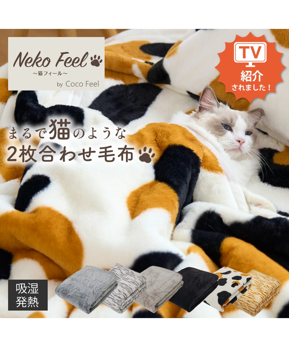 毛布を語ろう