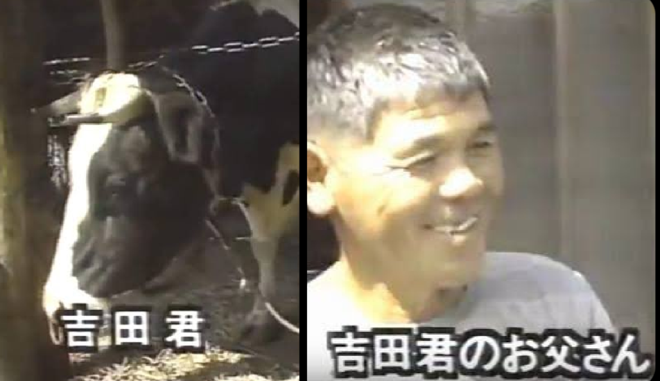 《一緒に激ヤセした》Perfumeあ～ちゃん結婚相手は「吉田カバンの敏腕社長」前恋人と別れて気付いた“安心できる存在”