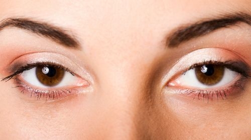プライドの高い人見分け方や対処法