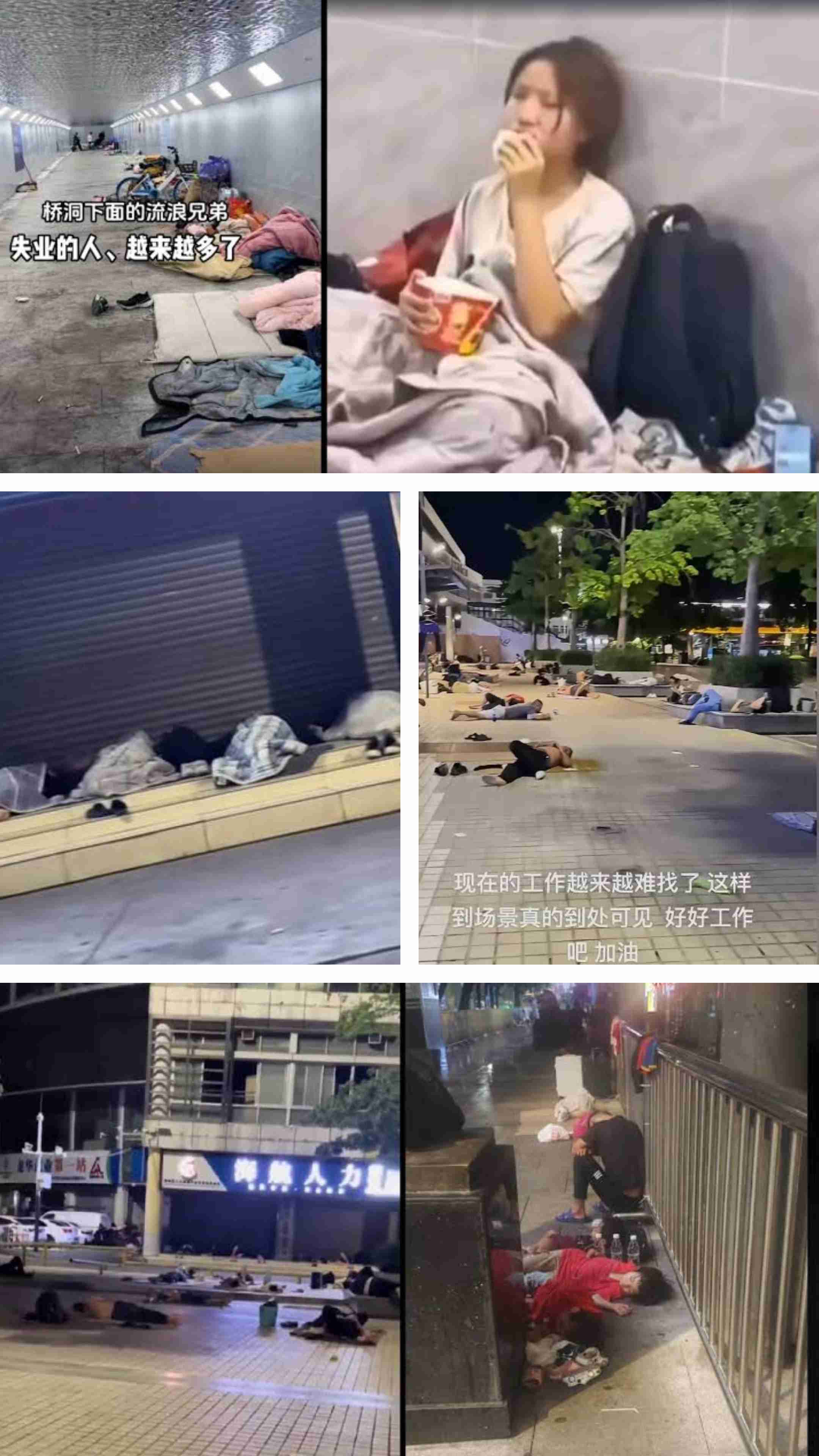 中国が水産物輸入停止　日本へ伝達、処理水理由　高市首相の国会答弁への対抗か
