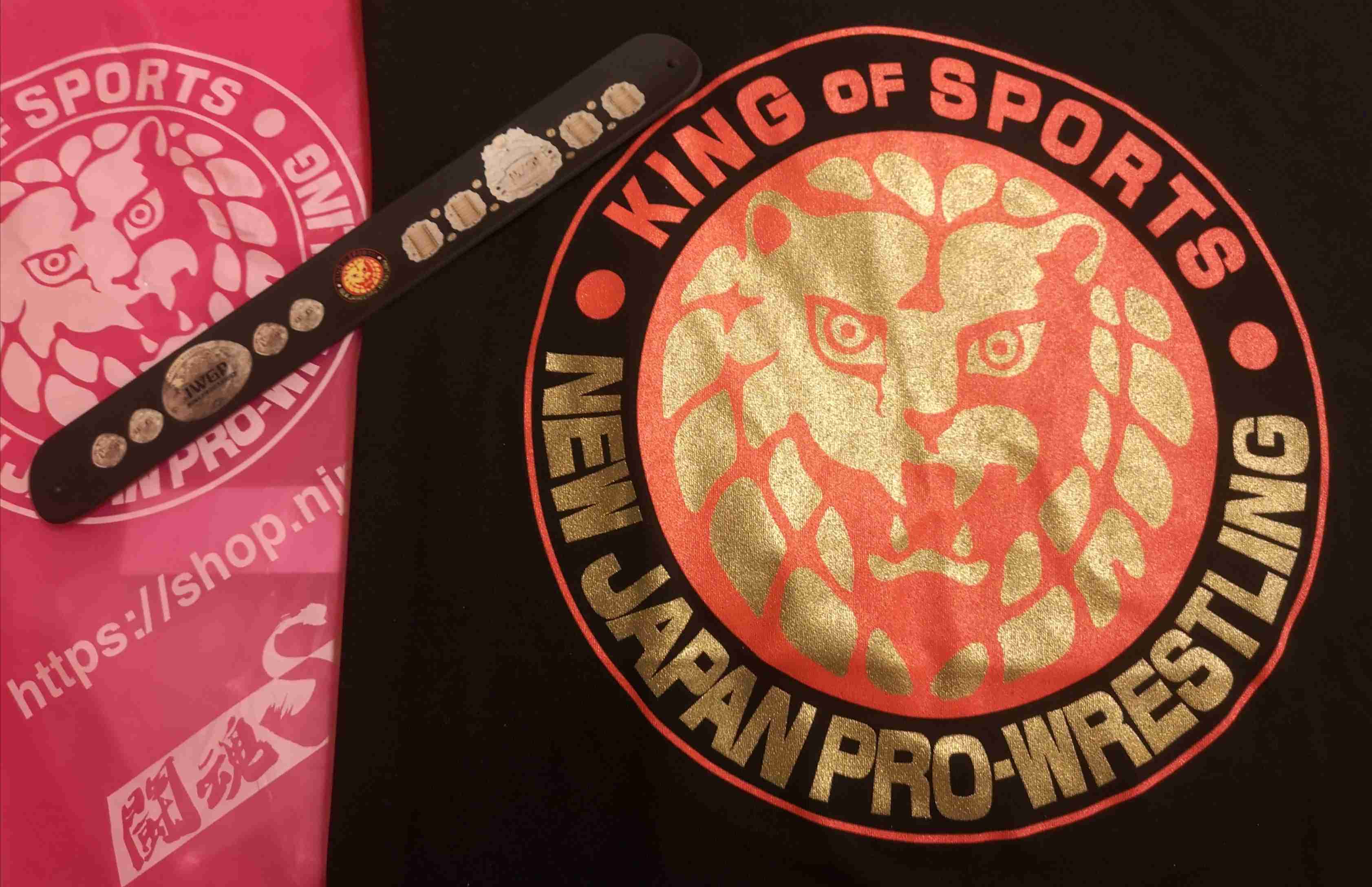 【定期トピ】『新日本プロレス』について一緒に語り合いませんか？Part18【アンチ禁止】