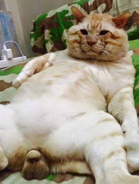 略した言葉でわからなかったこと（物でもOK）