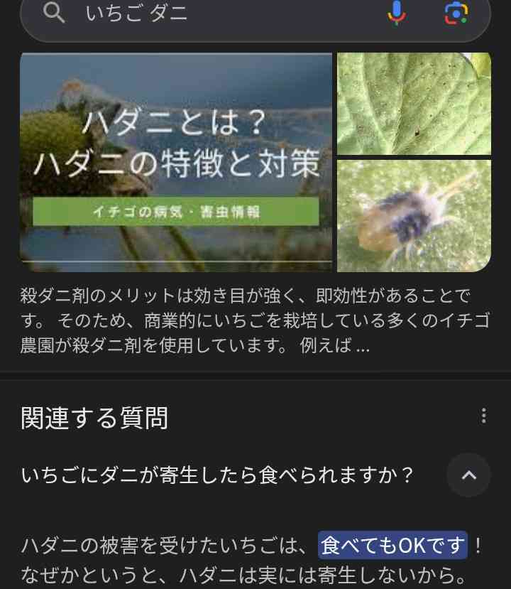 ヴィーガンってそんな悪いこと？