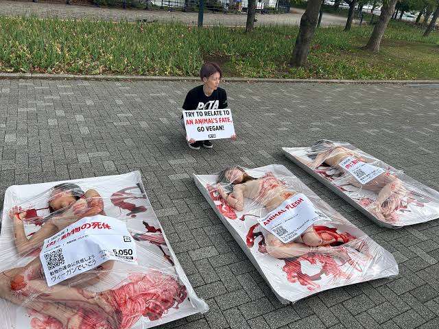 ヴィーガンってそんな悪いこと？