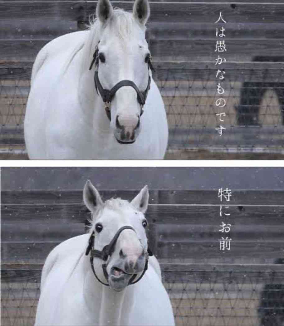 こんなクレーム受けたの私だけじゃない?という体験