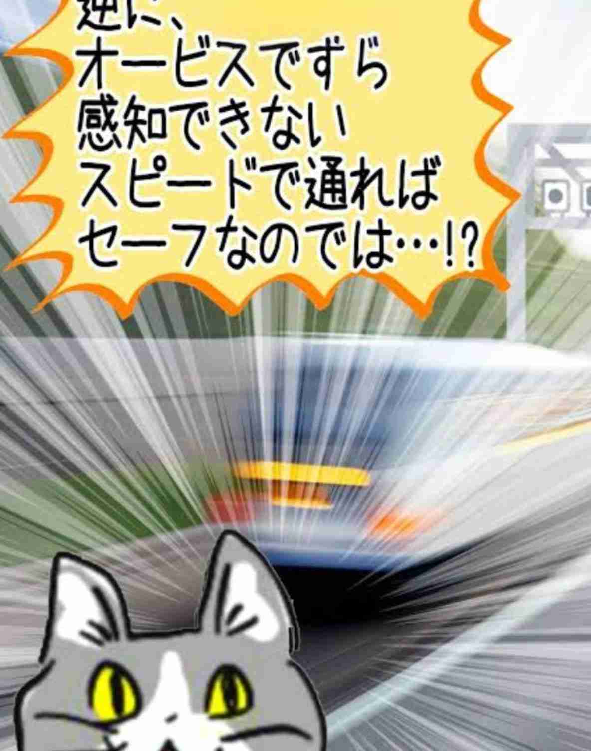 俳優広末涼子さん書類送検へ　時速185キロか、追突事故