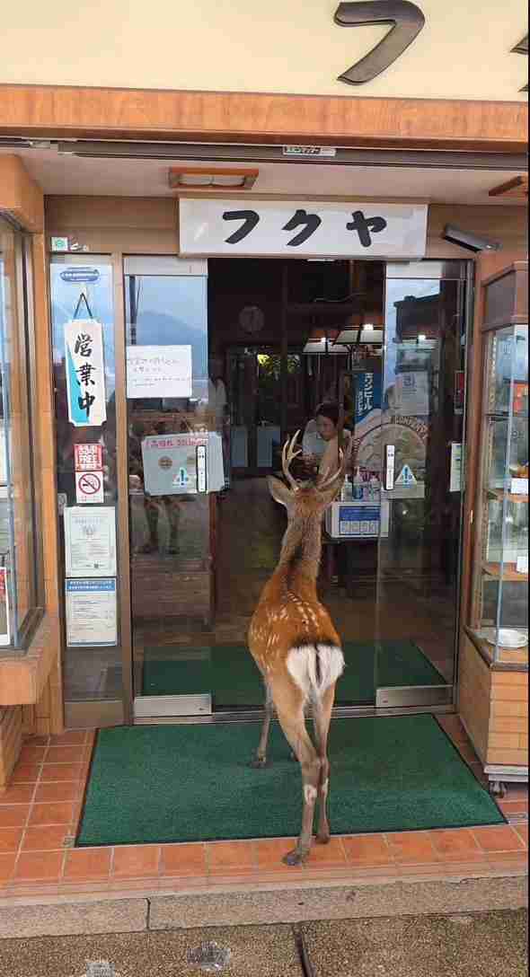 奈良県について知っていること