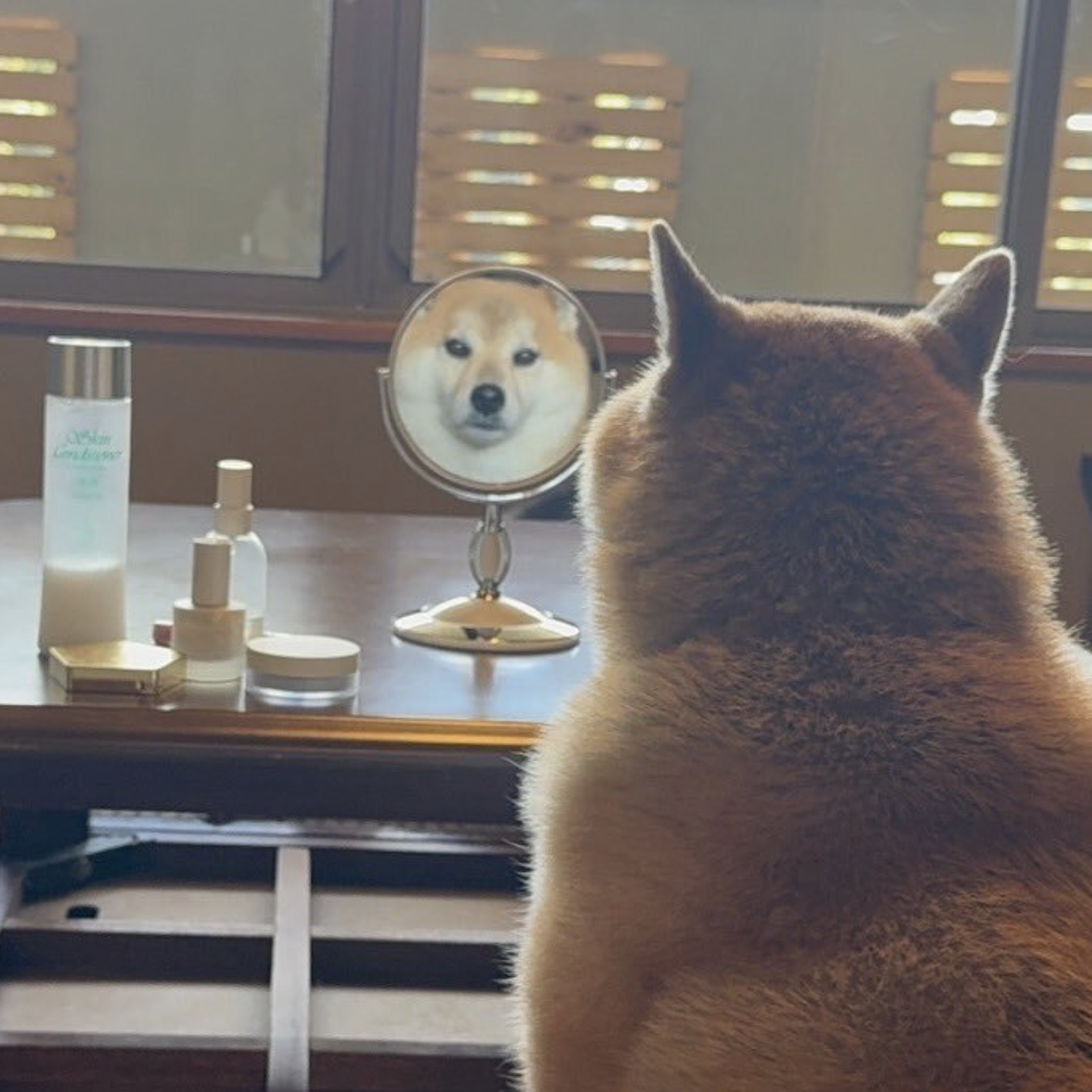 この動物は何と言ってるでしょう？と聞くと誰かが答えてくれるトピpart２