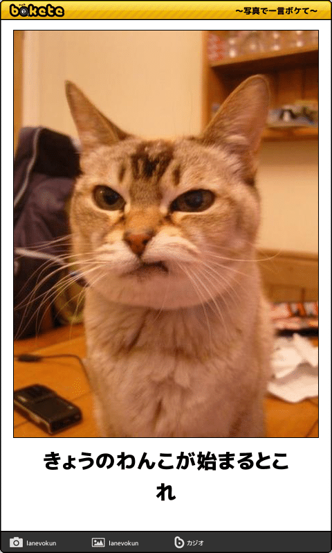 この動物は何と言ってるでしょう？と聞くと誰かが答えてくれるトピpart２