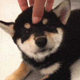 この動物は何と言ってるでしょう？と聞くと誰かが答えてくれるトピpart２