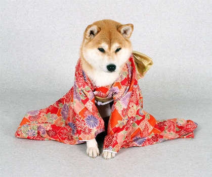 着物、どう着てますか？