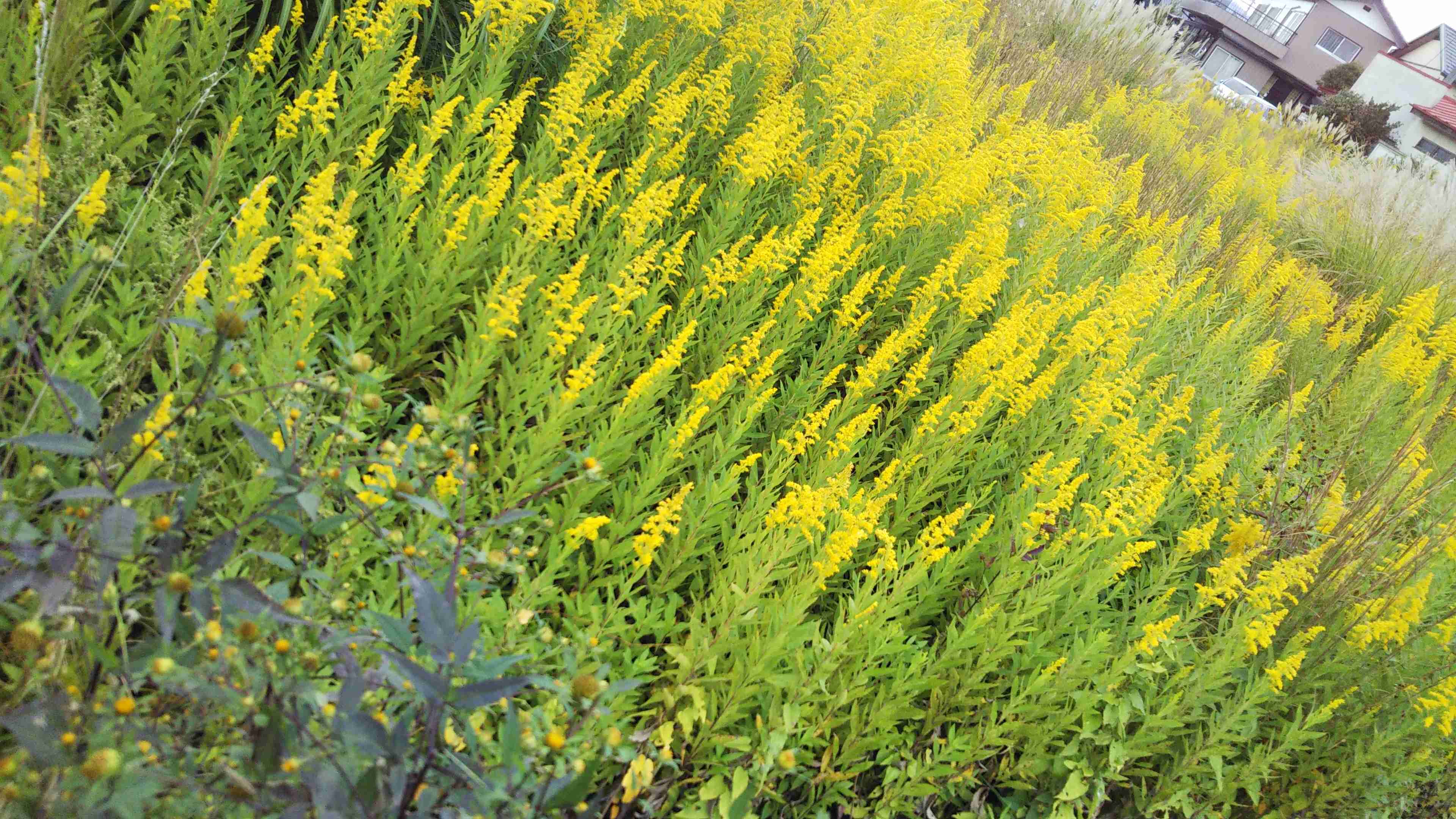 貧乏で孤独だけど幸せを感じる瞬間