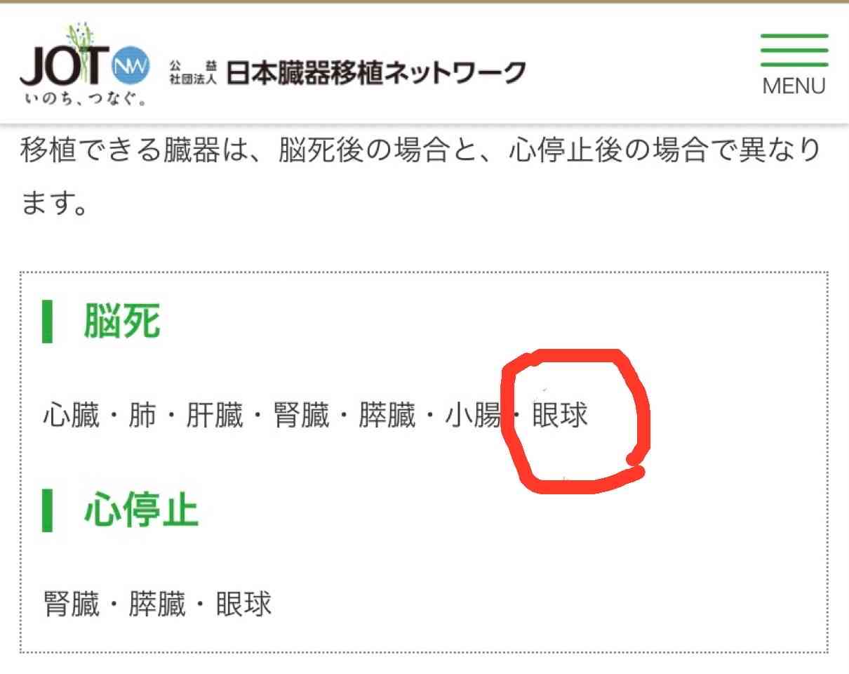 横浜市・山下公園前の海で見つかった上半身のみの遺体　司法解剖の結果 死因は不詳　頭部がなく女性とみられ年齢は20代から50代か　警察は死体遺棄事件として捜査