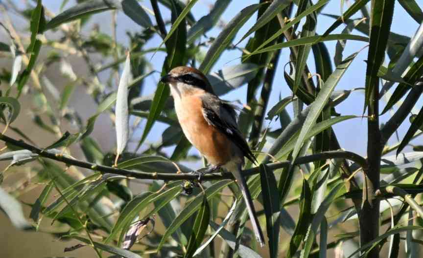 〜自己紹介をして、気の合う人を見つけよう〜