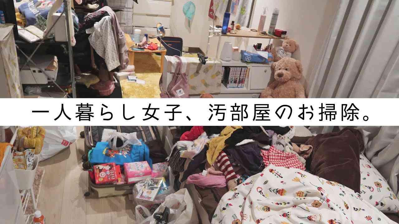 (片付けたい→片付けたが汚部屋→それすらキープできない→散らかる)の無限ループ