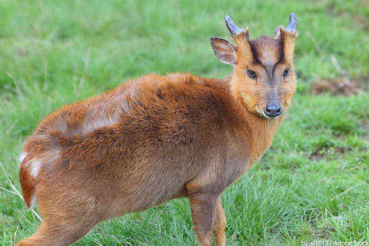 キュンとなる男性のしぐさ&行動
