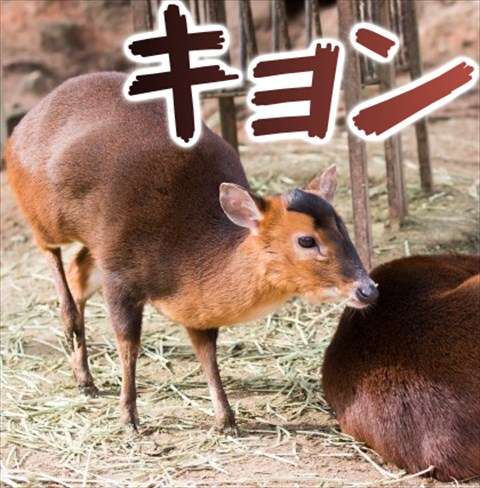 キュンとなる男性のしぐさ&行動