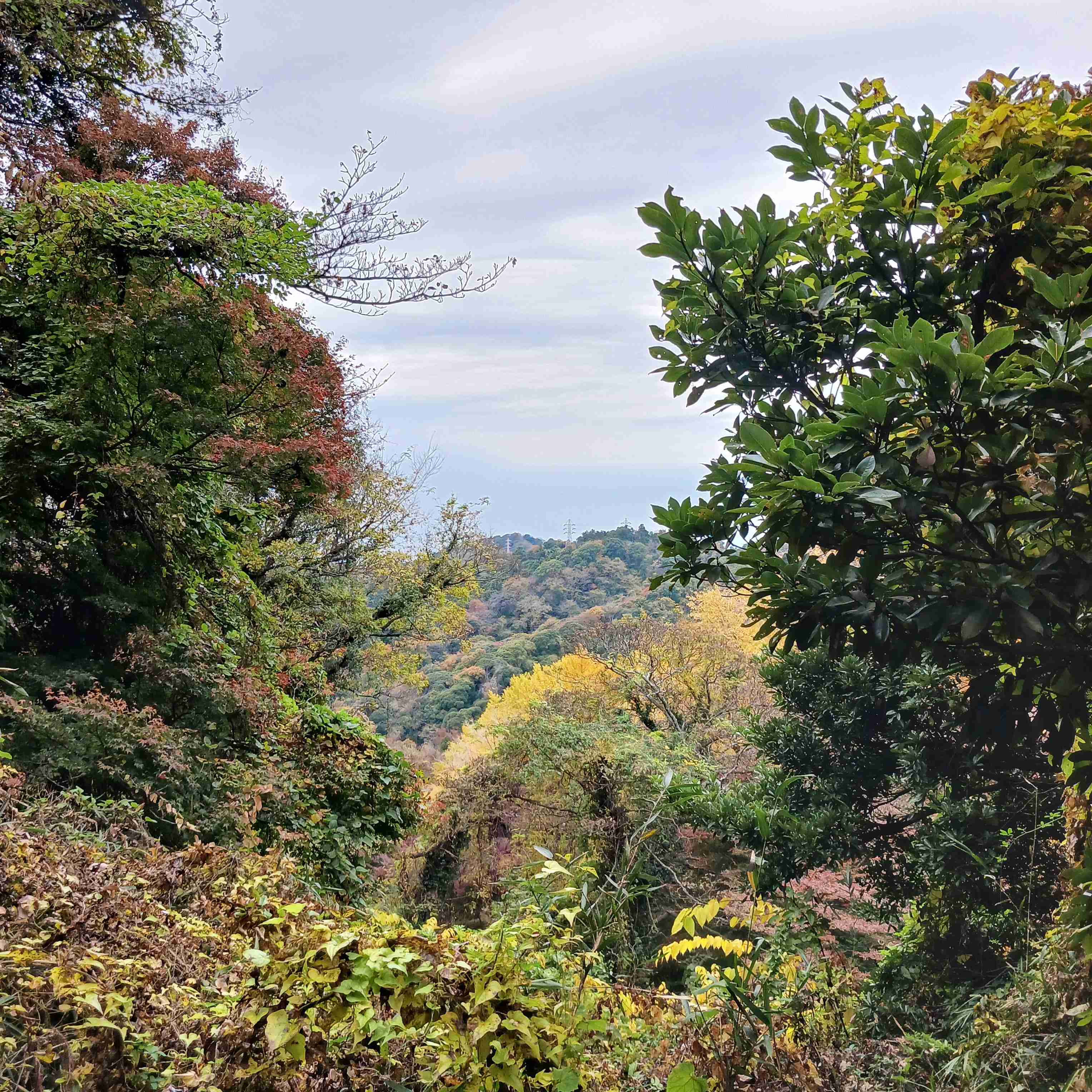 【長文OK】雑談したい人〜！【くだらない相談OK】