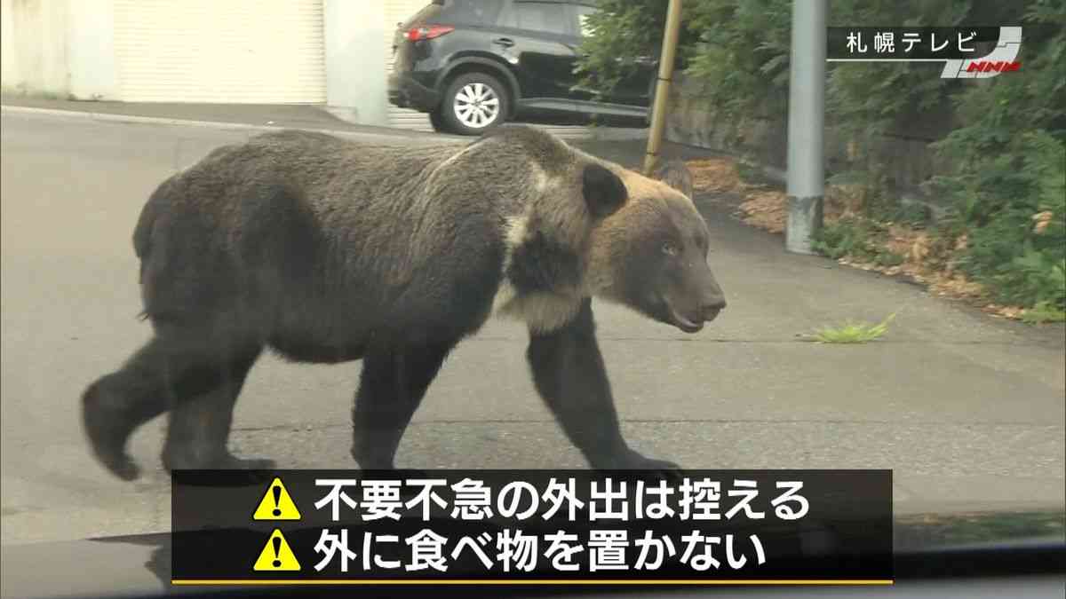 日本郵政、クマ対策で通勤柔軟化 手段や経路変更、安全確保へ